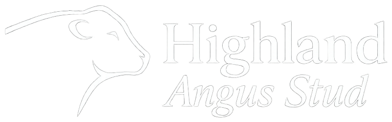 Highland Angus Stud